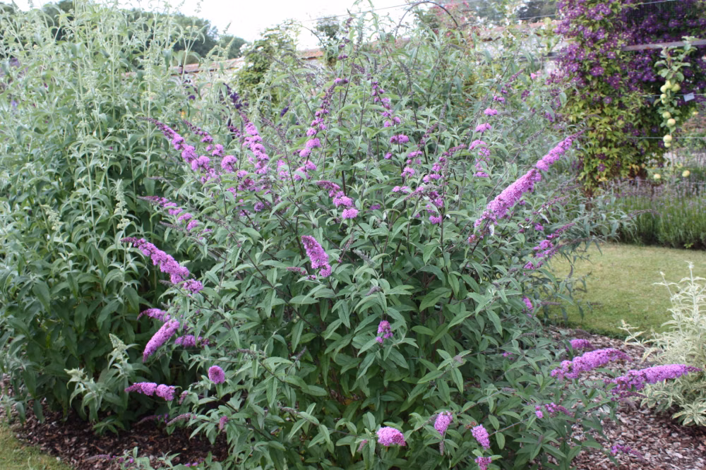 fc81d0d0df2f2881bb546c86df7f47f3