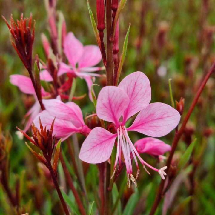 fc964a172ee4274ce3193ff7dd3dc7e6