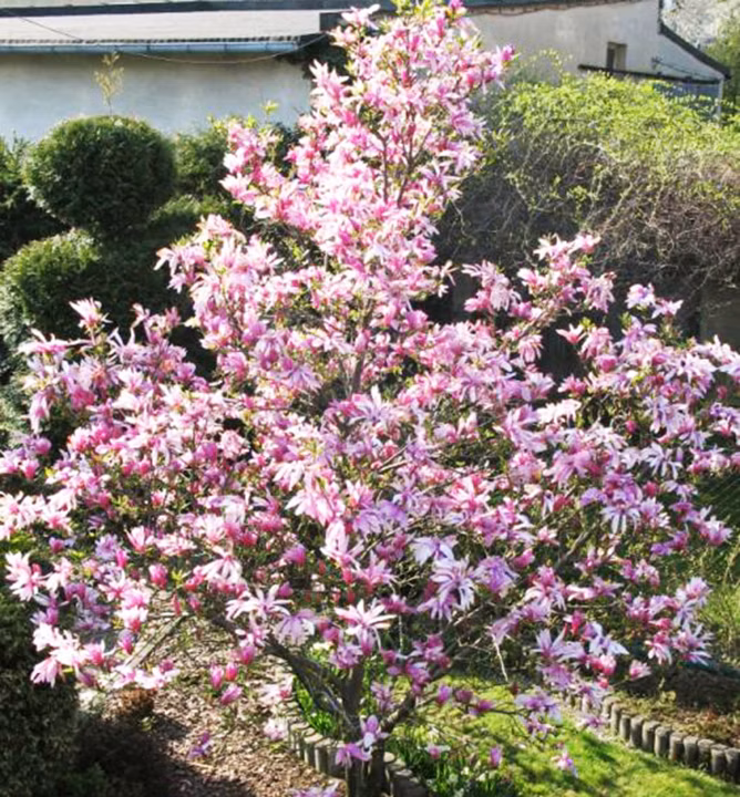 fcb25b47277a928ec8a8006755cc775a