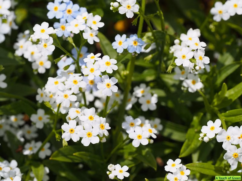 fceac38a2f9678a7d4ff9b5baf170fc5