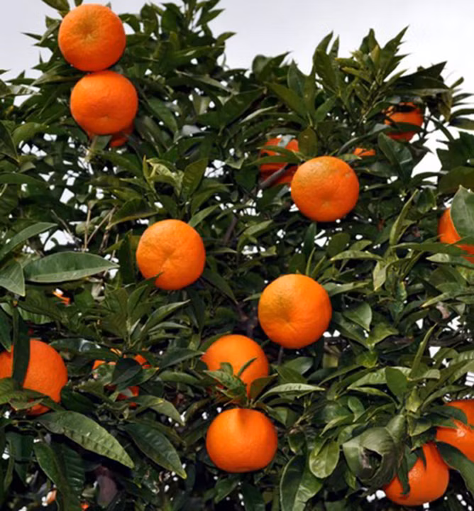 fd3975579c640286428d681cab97408c