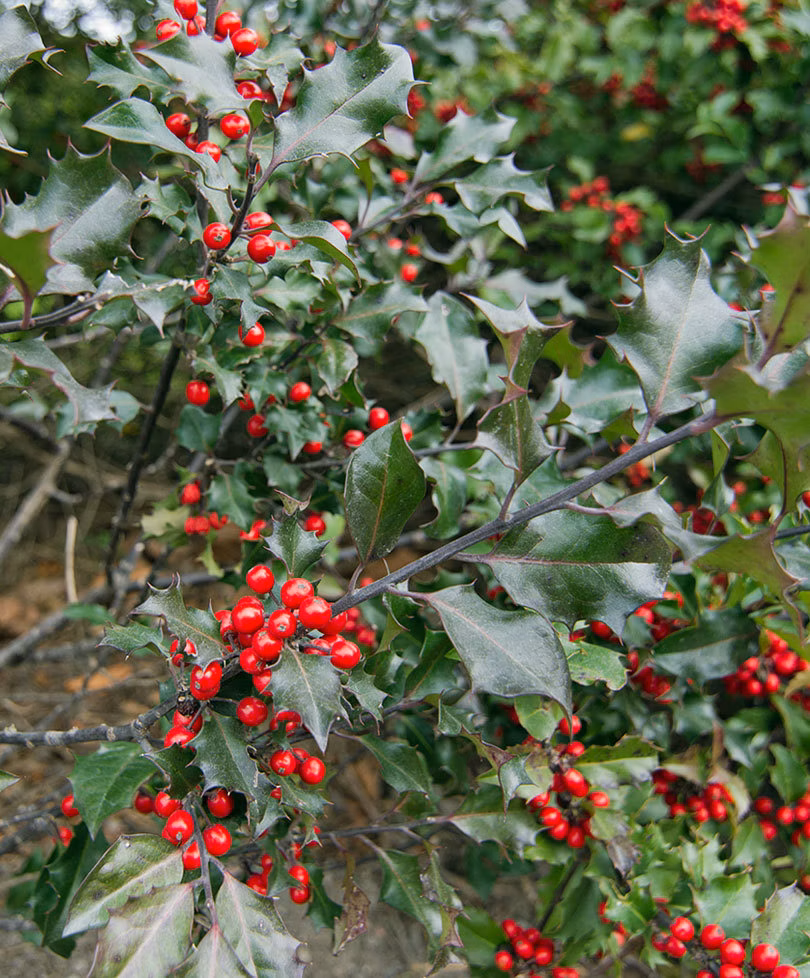 fd47866c353af859b3711d2fac5db203