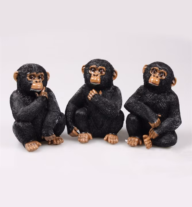 fd8e54d5168ccb51d67da4e1ab2e4686