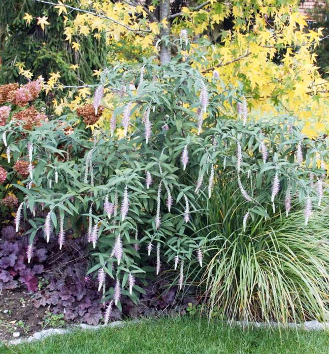 fdd429be5c6bdad0465a4045566ca9f2