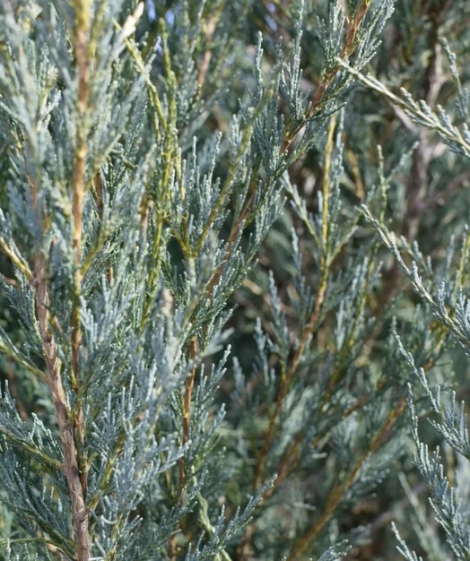 fde979ae017934bad6d3848f5bab5975