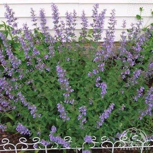 fdfe959fb3f9cb271da02865cb34b9e1