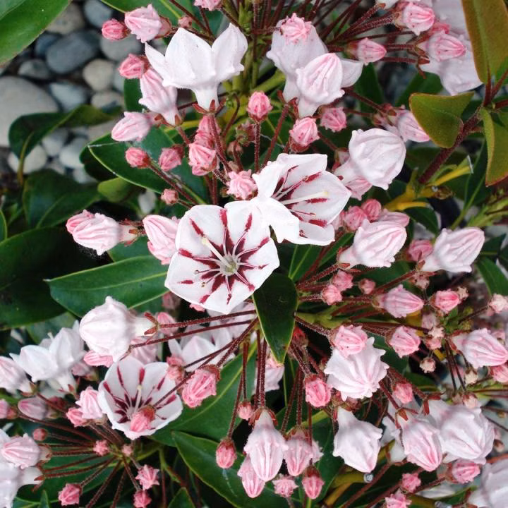 fe02bd46b77bbf508b539e00c3e8a966