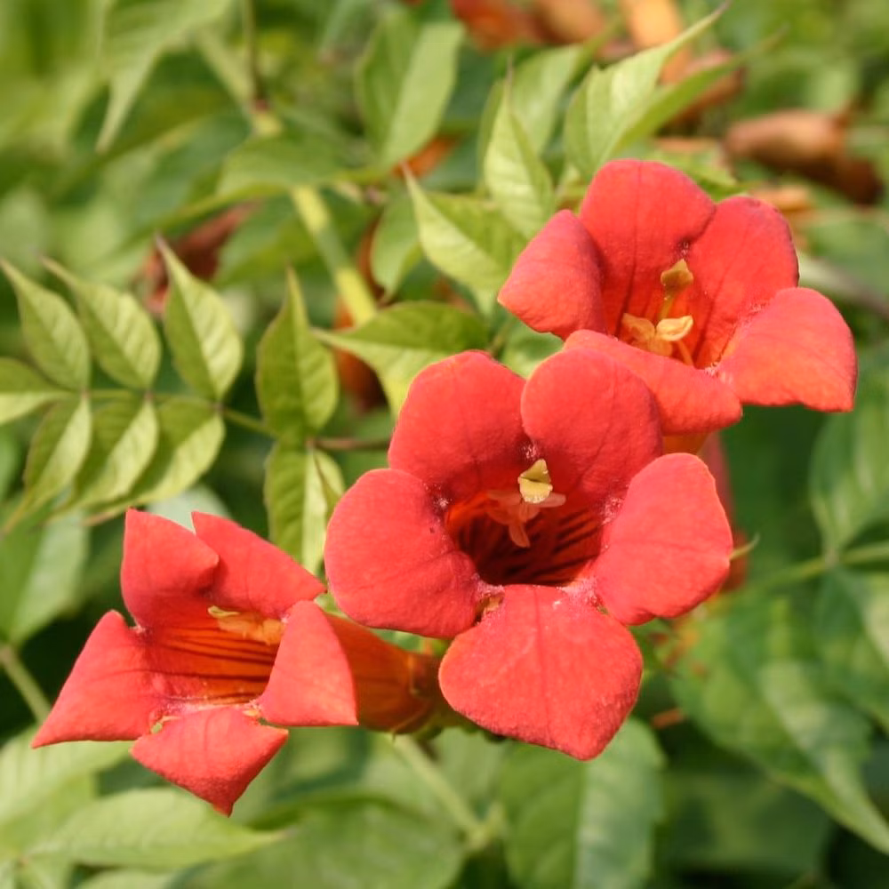 fe0dd6236f7be0335b16a2d0e884cc1d