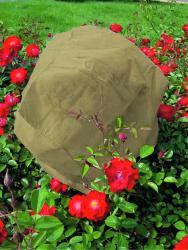 fe205e62cb603a72667e265eec24807a