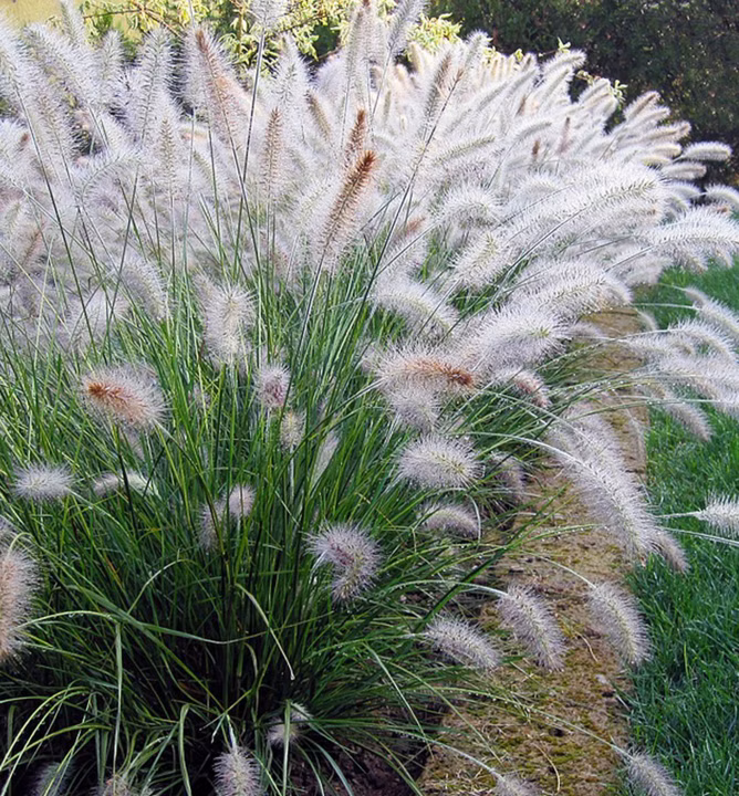 fe2b15fd3bd56c1f6472fe68e8e18635