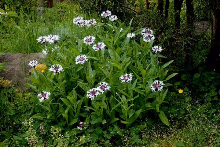 fe555daa05ae0a220d52145ba70b3fbf