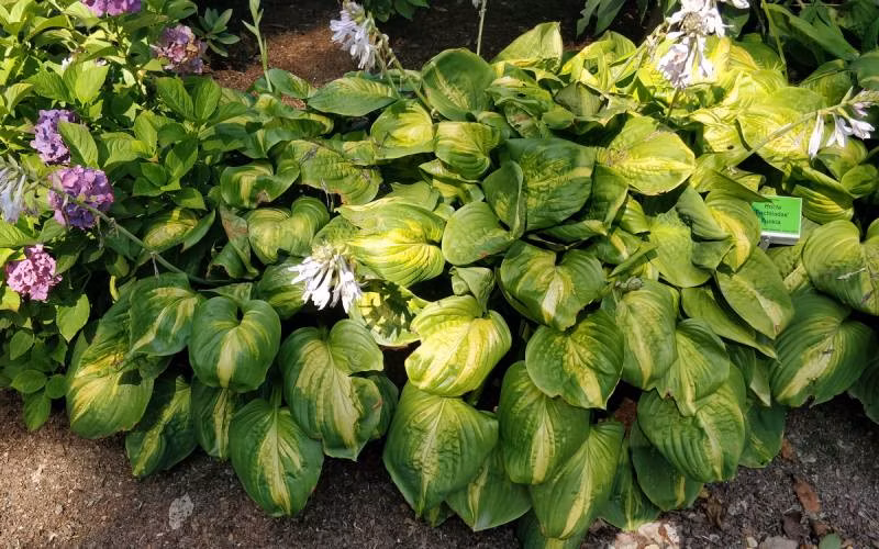 fe929e2683d730db4b8eccfe10c637f5