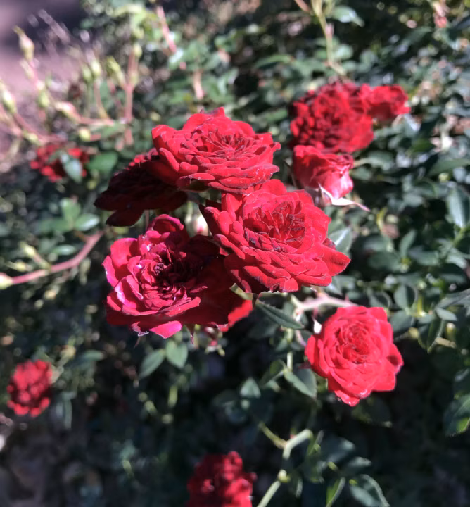 fec9b4e3bb8d0870e53a7450f45c7553