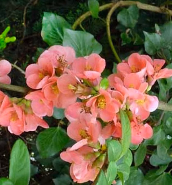 fecbadf1aaa7cbdcb12e7150df7de877