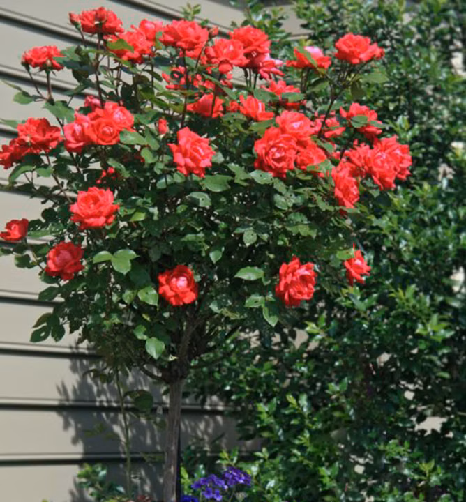 fed249f2cfdb2e83403843d00f2d47f7