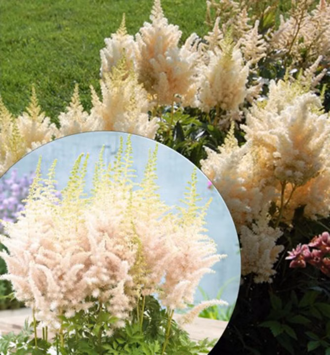 fefe47c445b0d88c0058885fe4c6180e