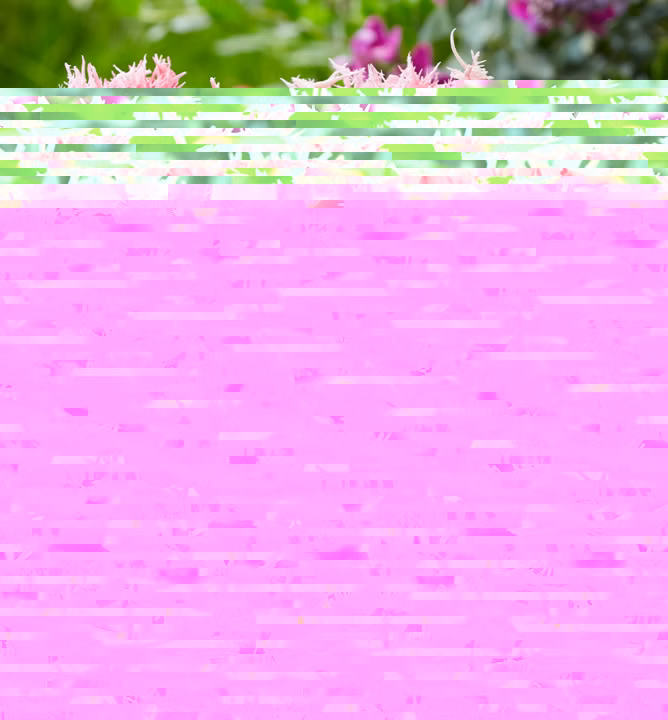 ff10f4f83003c23f769118867f6ff66d