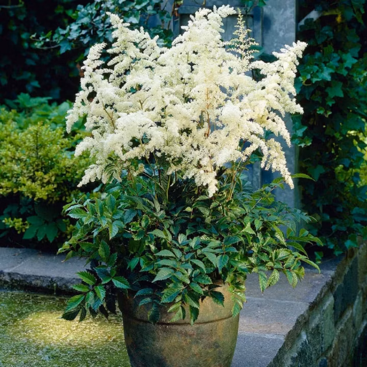 ff271ae3e616076a467d06f07b6a351c