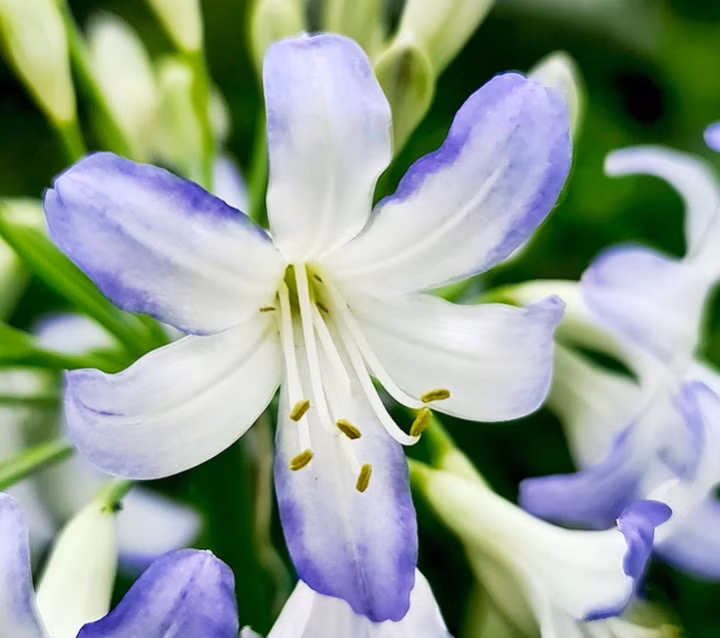 ff324c93d49cf1295a926b51dd837498