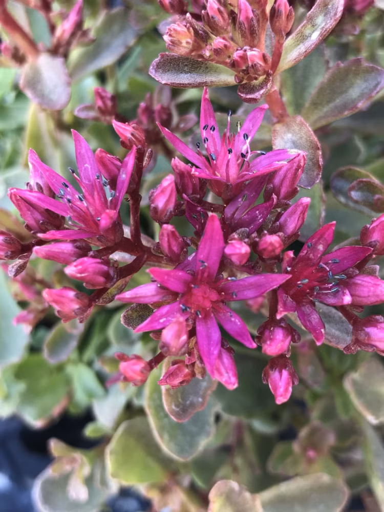 ff459151e8fc95f940a51d71b723a534