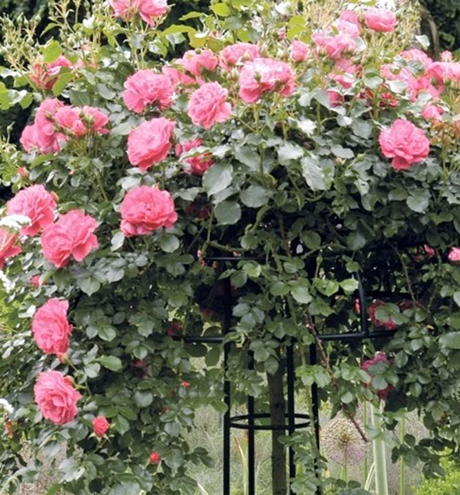 ff4663f3bdc4afc7b865f57933e97b7e