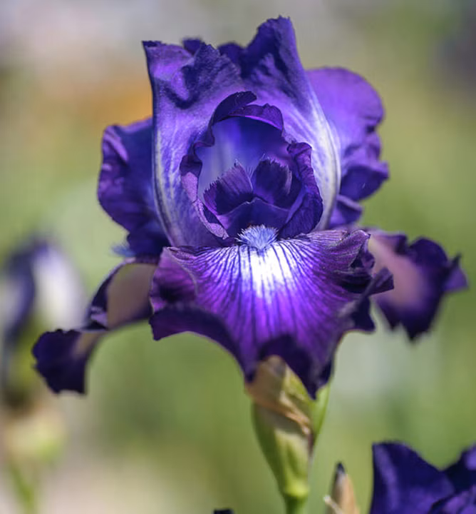 ff658294d3c2497bd875c07053356079