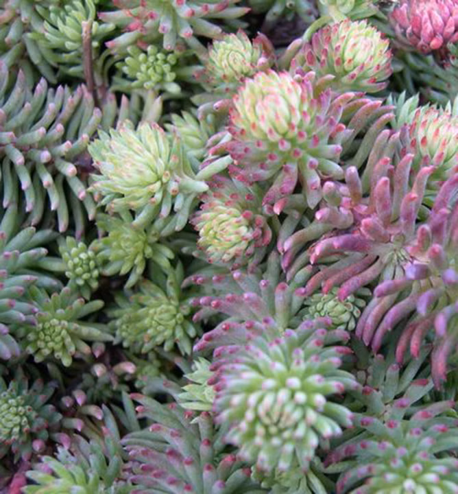 ff8aa8d8d58b87aabf6ae9bf34b80ca1