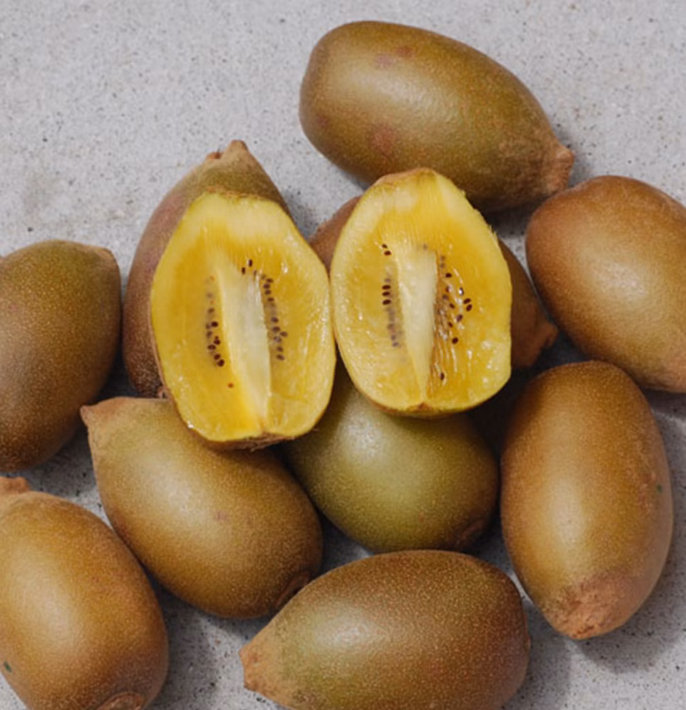 ff9ca0de16b46eb2621dc539412884d9