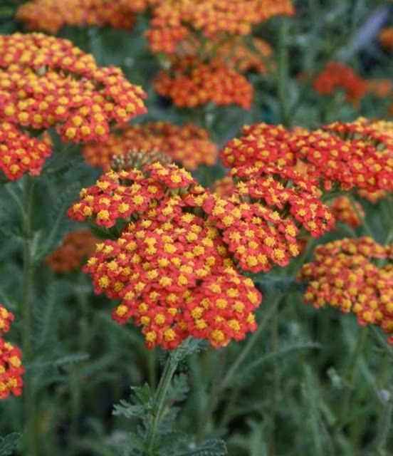 ffb2602dc6a97611d5e579fb8a75fda5