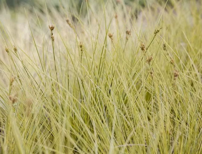 ffd26dd8d96e58e3eb487ee19bdadb66