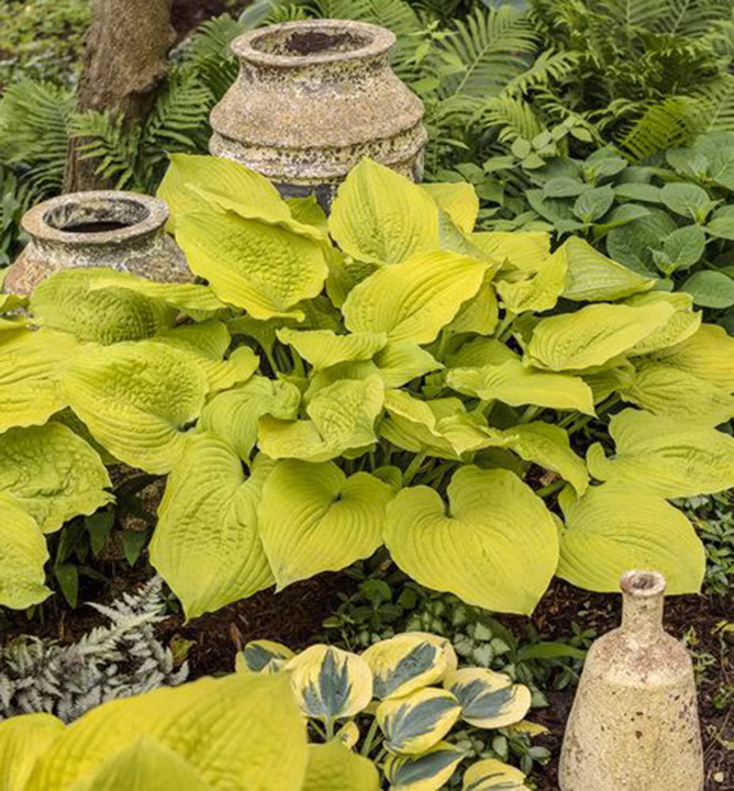 fff601ba6dc78031ec122df427281893