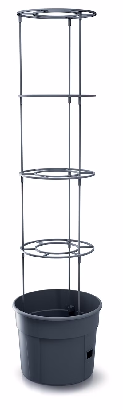 Sadzač paradajok TOMATO GROWER antracit 29,5 cm (max. výška: 115,2 cm)