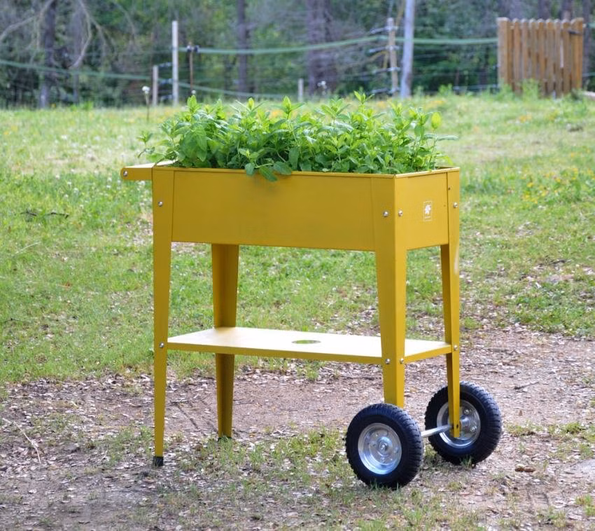 Herstera Barcelona vyvýšený záhon, horčicová farba 85 x 50 x 80 cm (HG08933321)