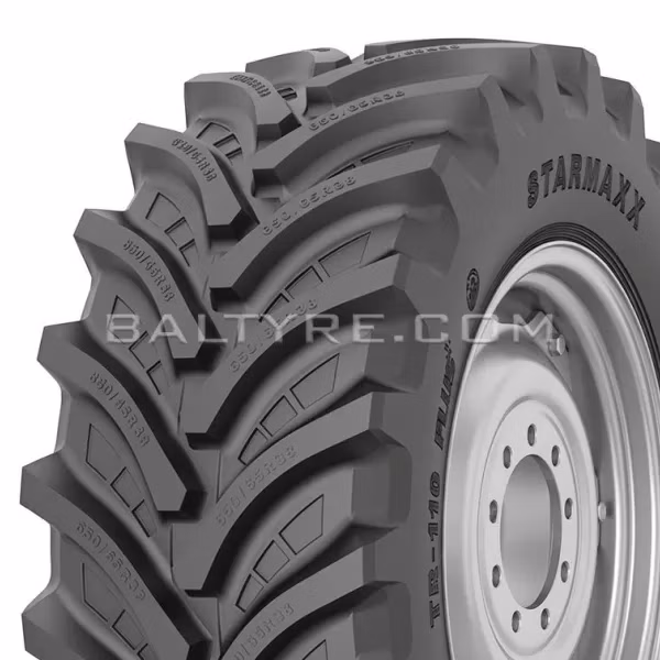 810f0cfd2646fbc1dc9da08ac01fcfad