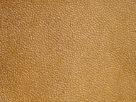5b27cafc117d5c148ecec608be84520b