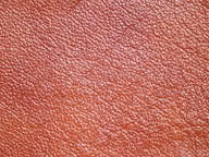 5e81256e35d4f520fa2638c2502705d9
