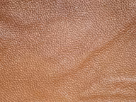 8344406470090ccdac0906c1676401dd