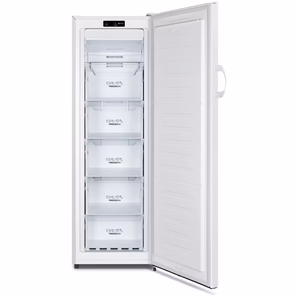 Gorenje FN4171CW