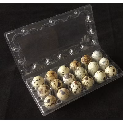 Transportný obal na 18 ks prepeličích vajec - blister