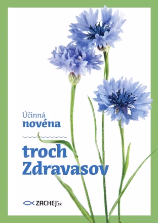 779cce04ccd7adcca4c03ac8400cd1e4