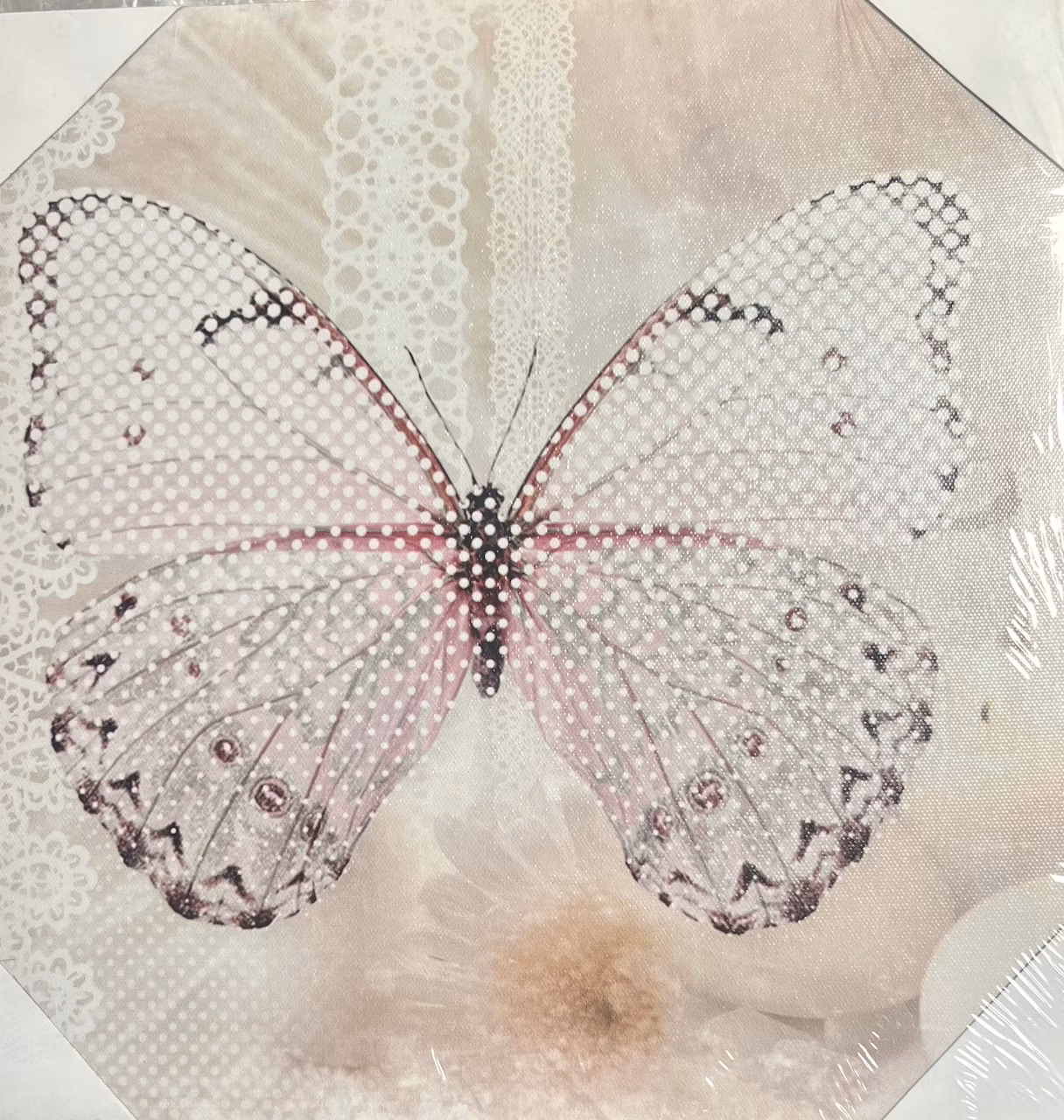 8cff45d67c95e10d0da2b1c7f6591c29