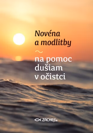 90b9b6f1f5063e7194c12dc5248d3a01