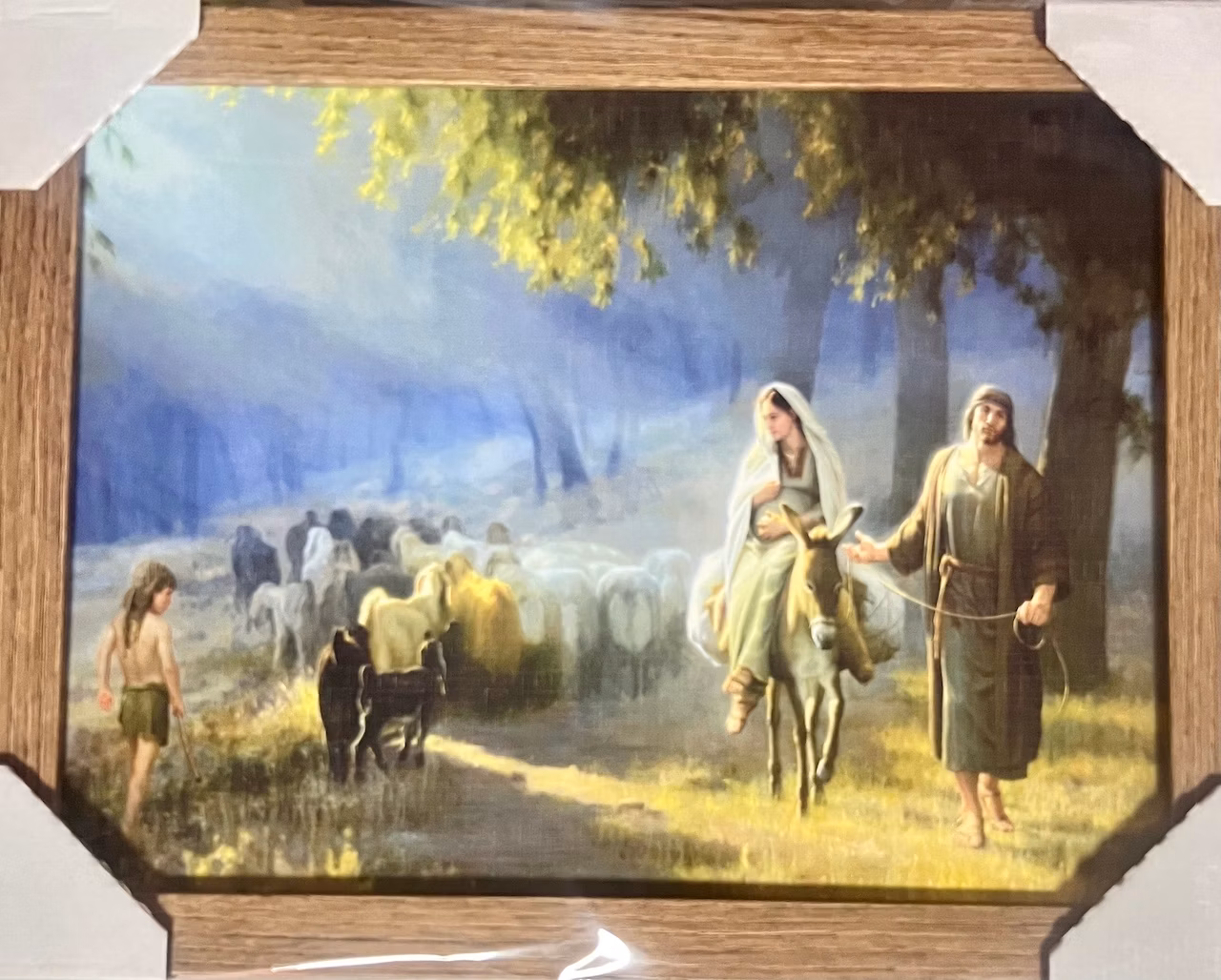 d60fb9e06551da3b0bbea38a669a77cf