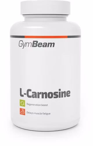 SPTgym527