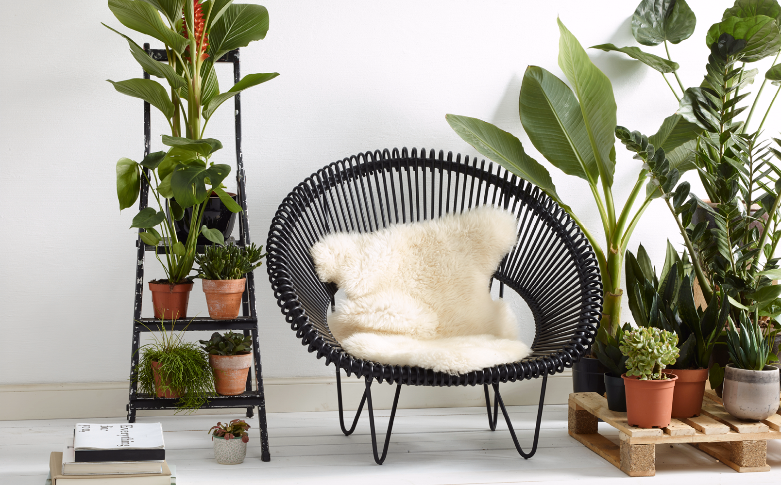 Cruz cocoon