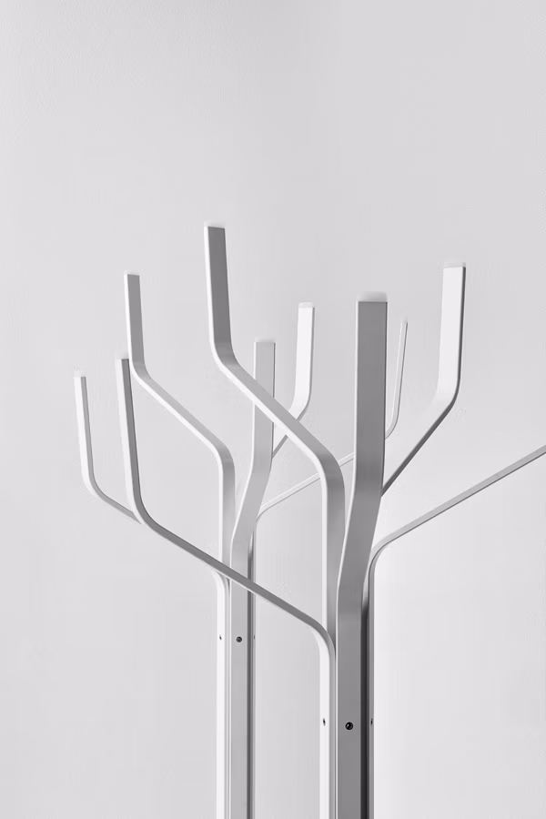 albero