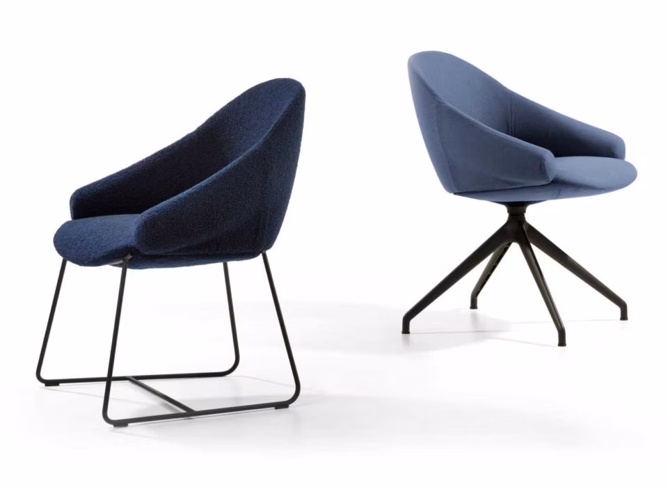 Fender
