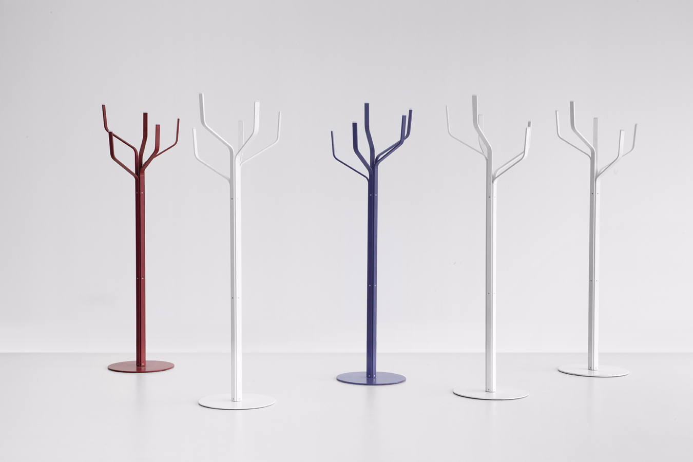 albero