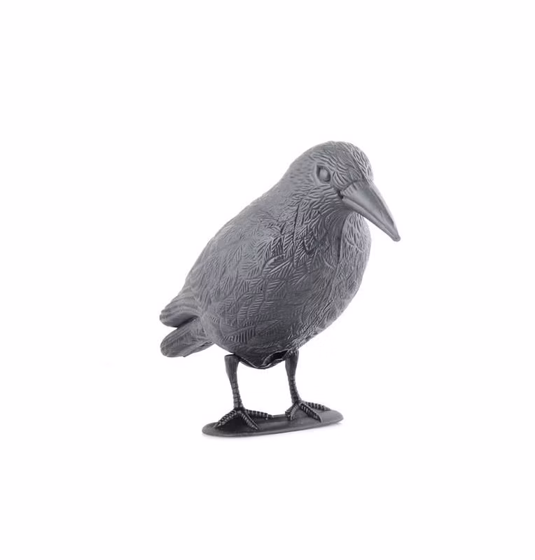 70625a734f1323b8fb12149981749397