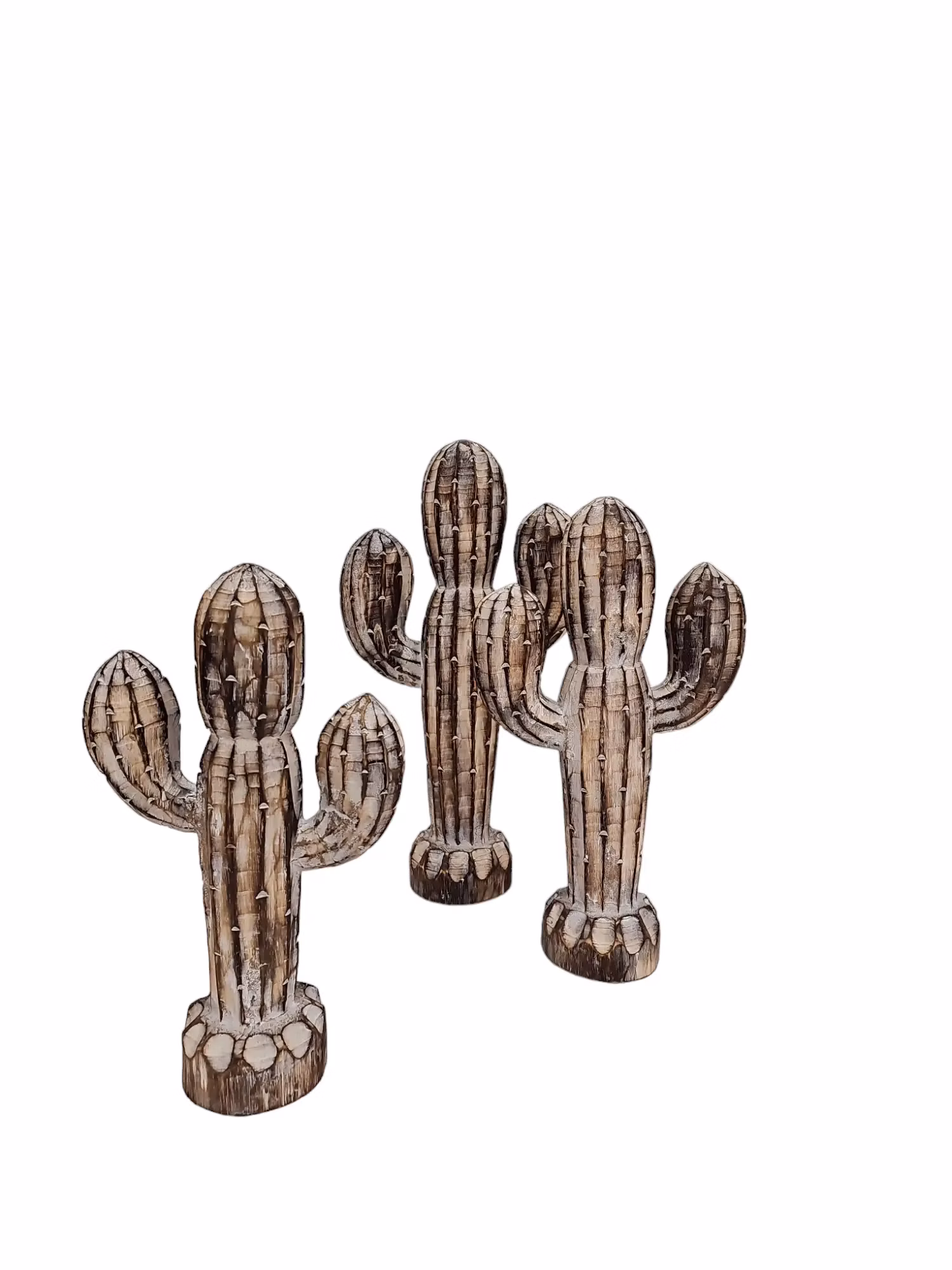 Kaktus